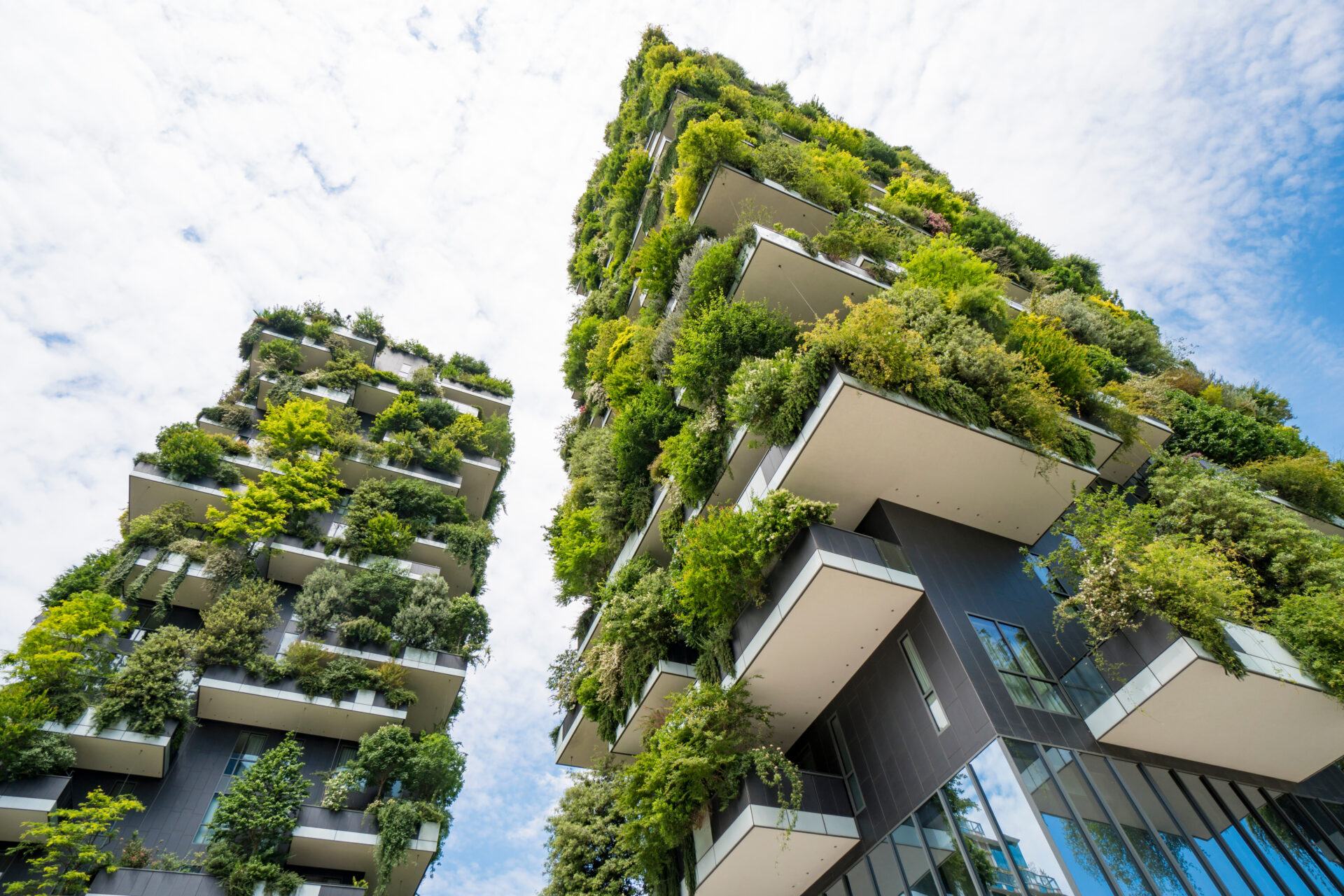 The Benefits Of Green Building Techniques In Sustainable Construction